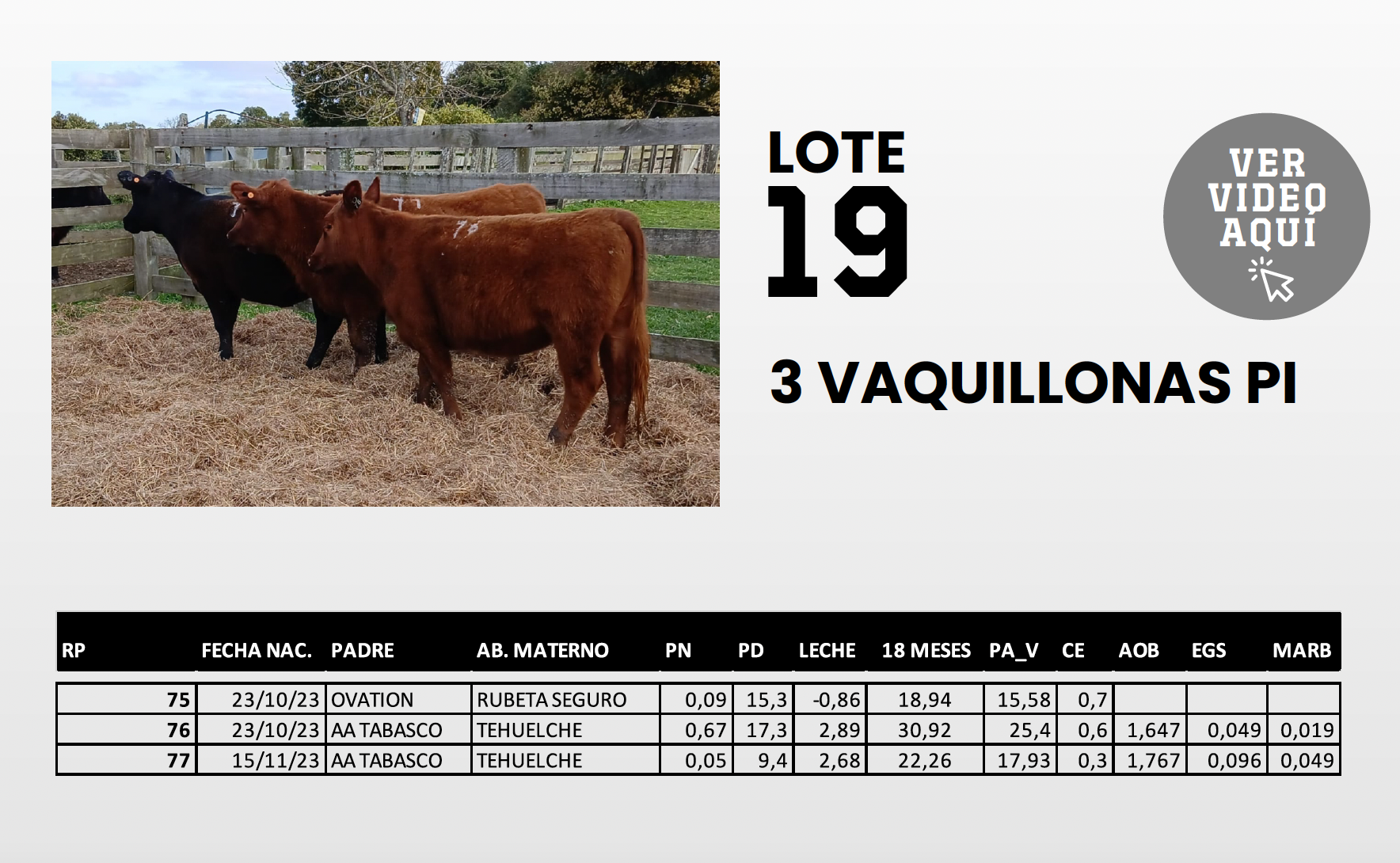 Foto del lote